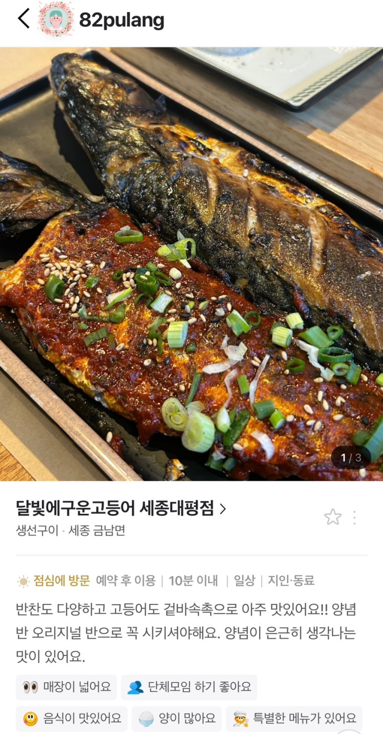 달빛에구운고등어세종대평점 이미지