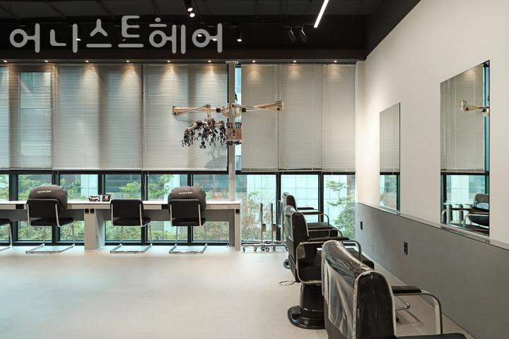 어니스트헤어 이미지