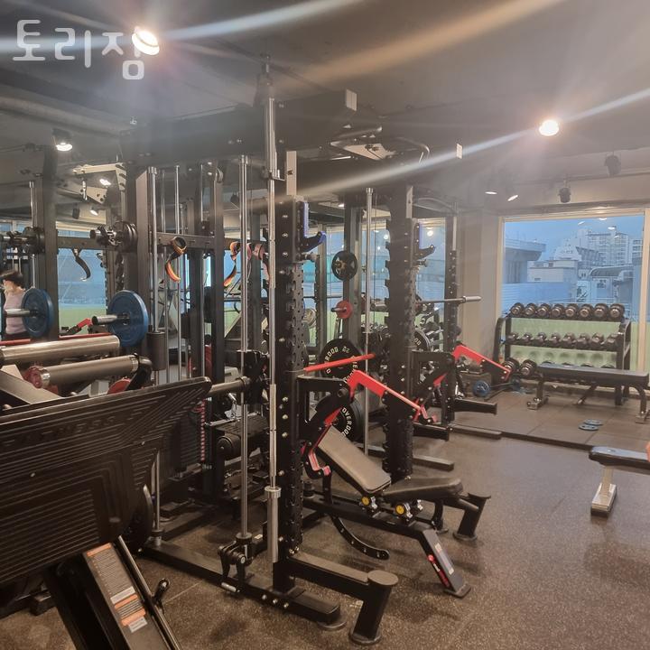 토리짐 이미지