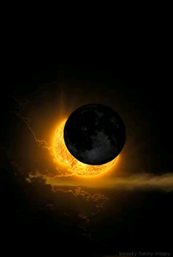 신화행정사사무소 이미지