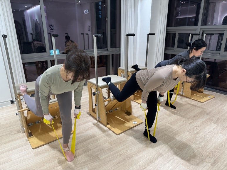 유이네스 이미지