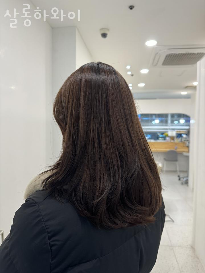 살롱하와이 이미지