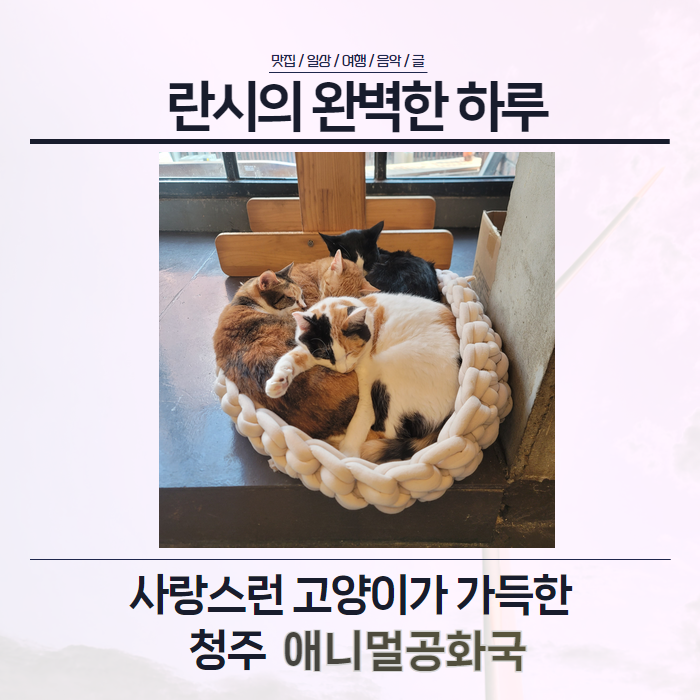 애니멀공화국 이미지