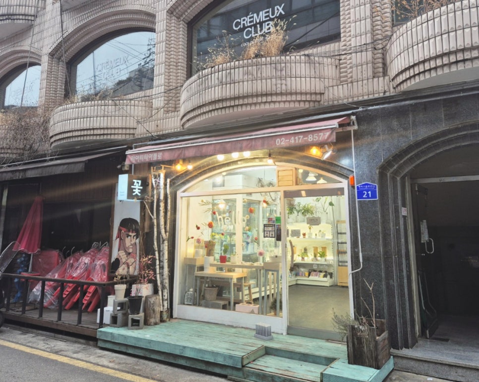 라이티티아플로 이미지