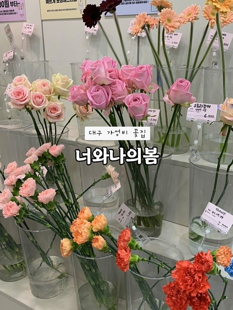 너와나의봄 이미지