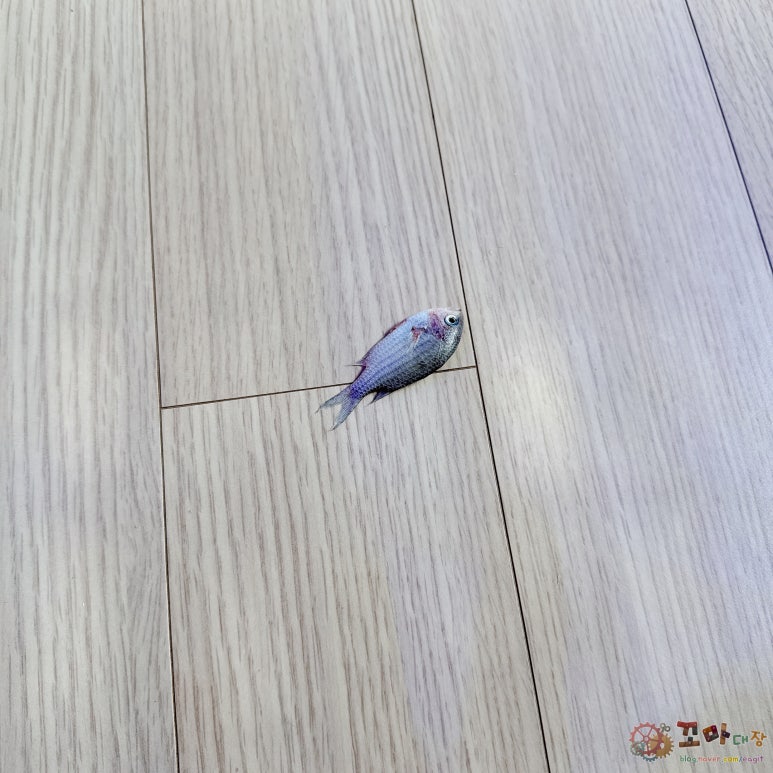 점프사 이미지