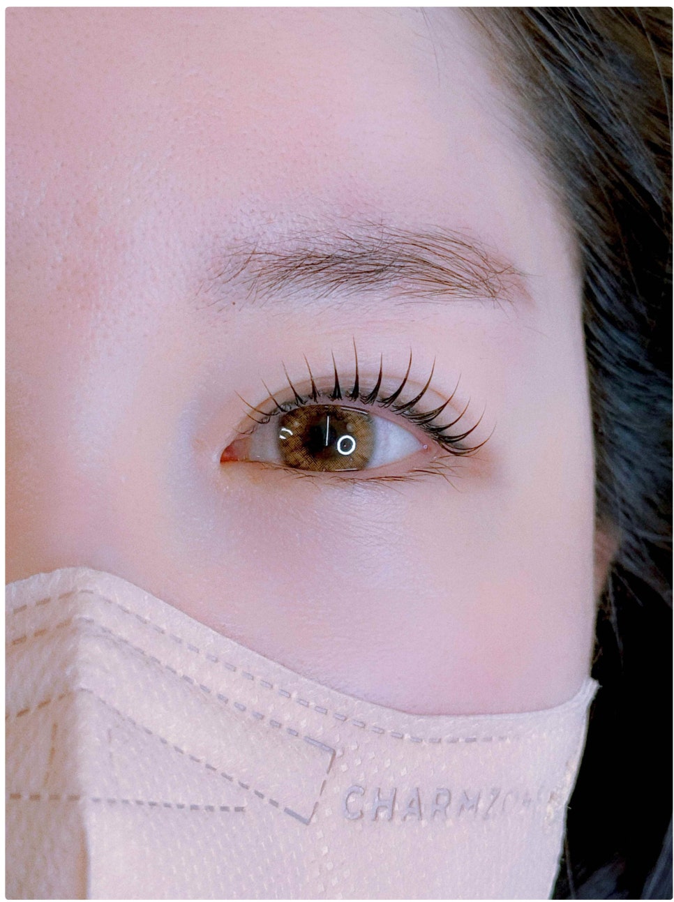 래시베이 이미지