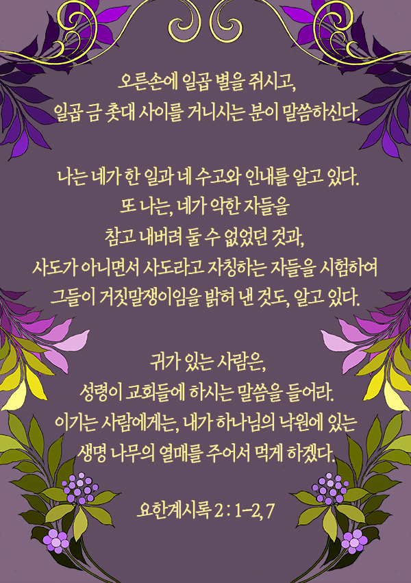 둘자네 이미지