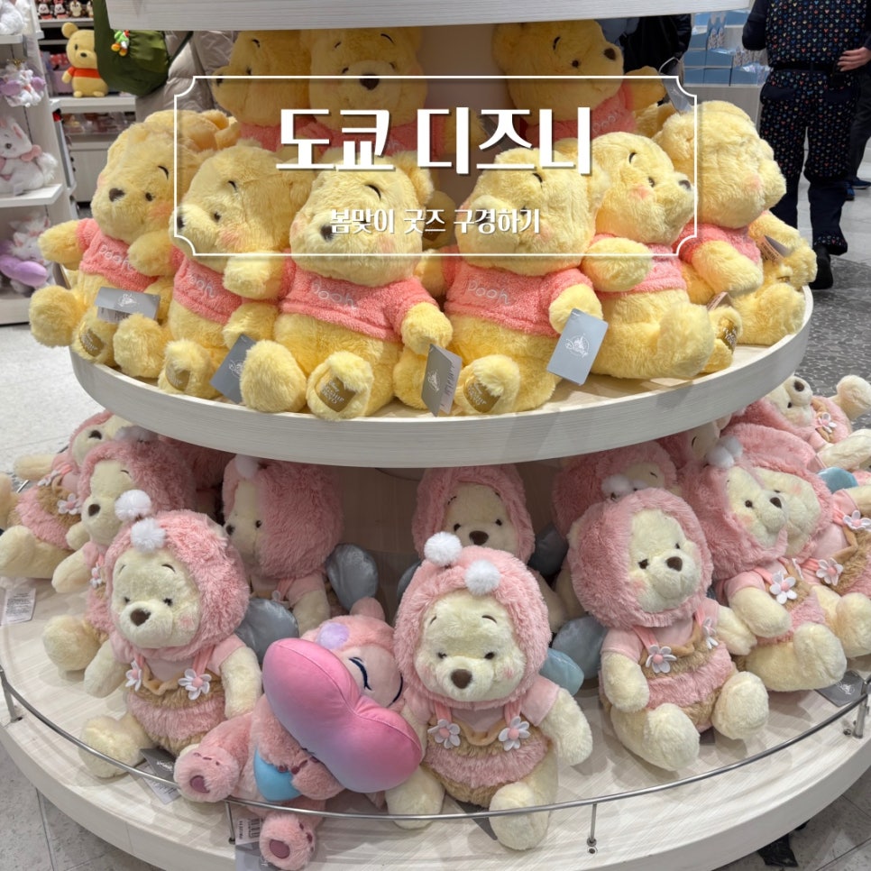 채리스토어 이미지