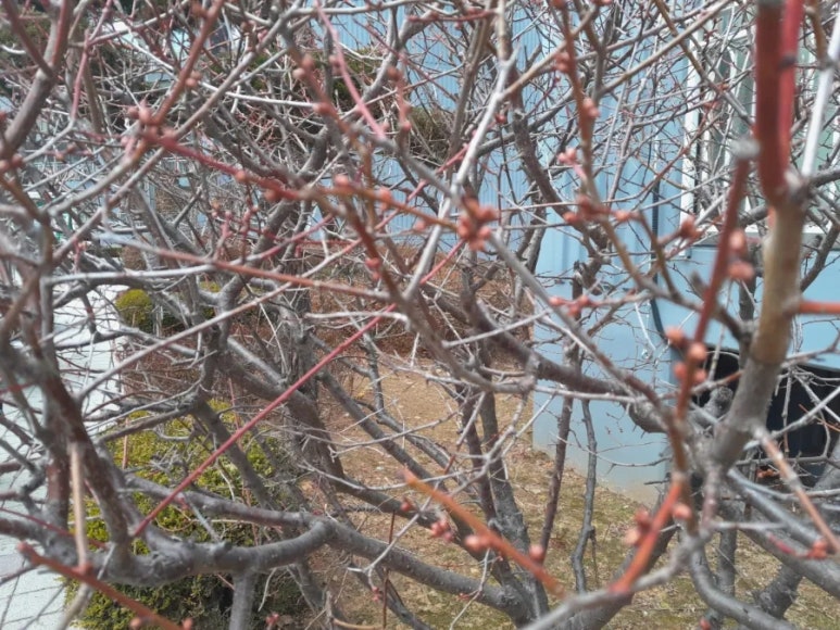 우림세탁소 이미지