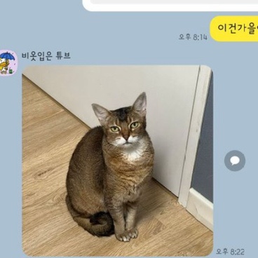 오이이 이미지