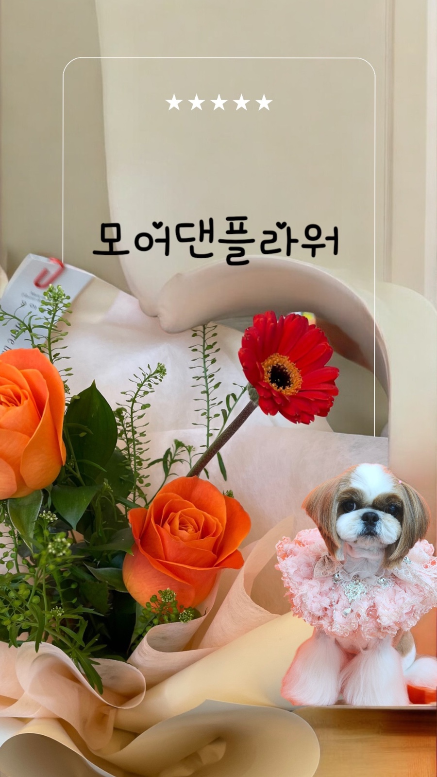 모어댄플라워 이미지