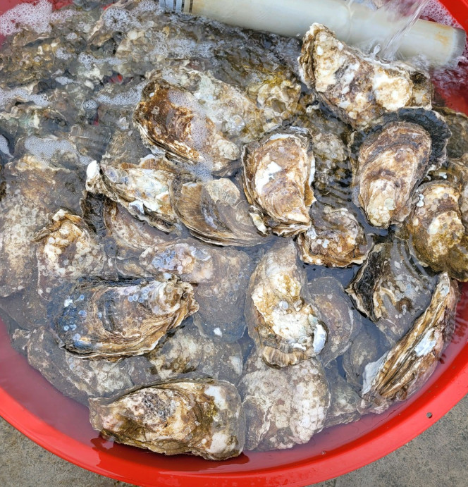 벚굴식당 이미지