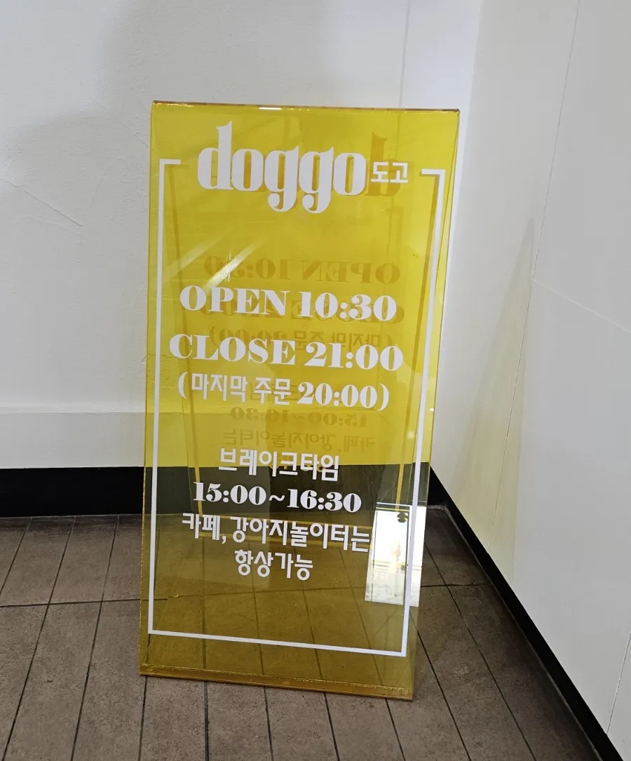 노원 애견동반 브런치카페 도고, 잔디 운동장 후기 — 사진 2