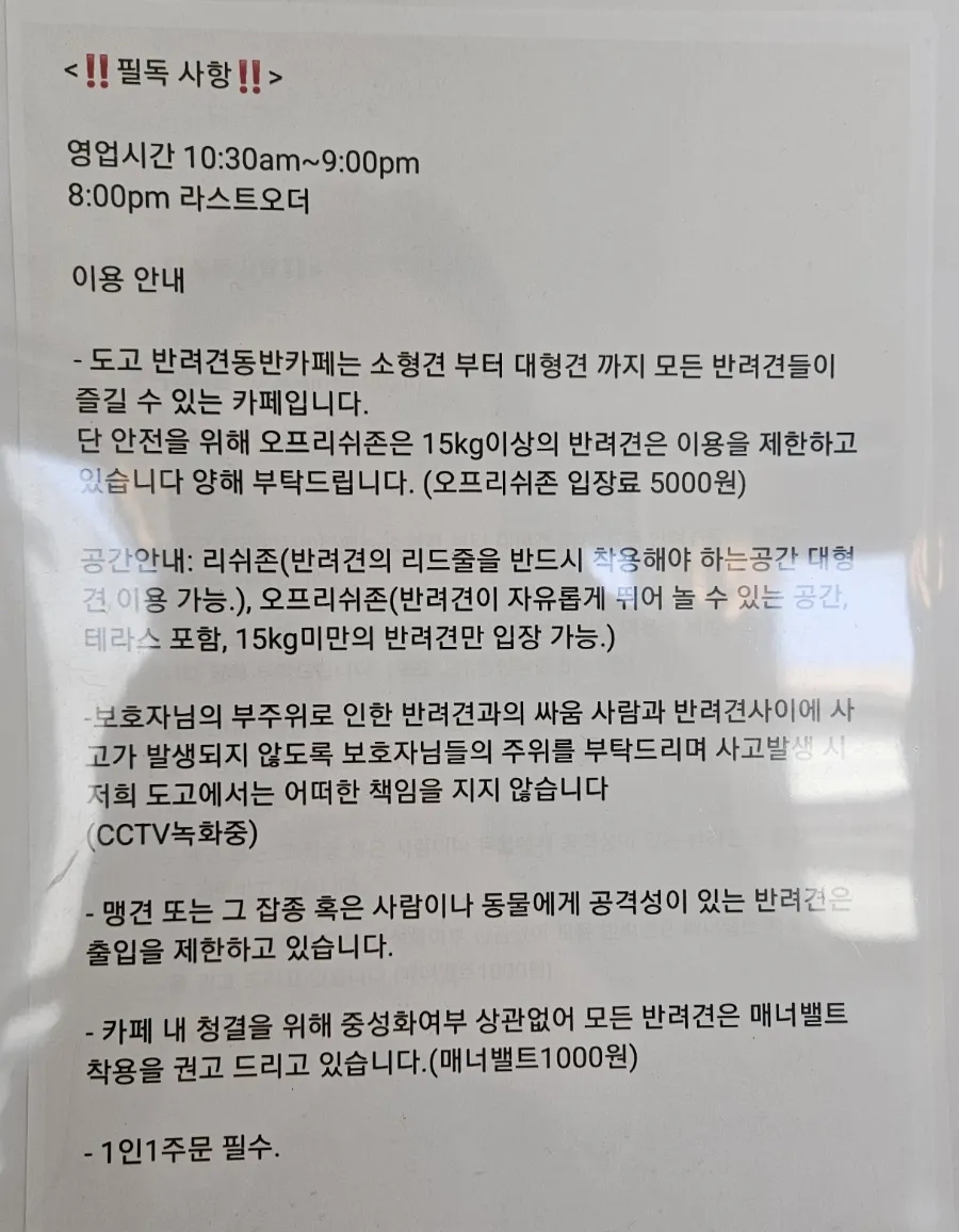 노원 애견동반 브런치카페 도고, 잔디 운동장 후기 — 사진 4
