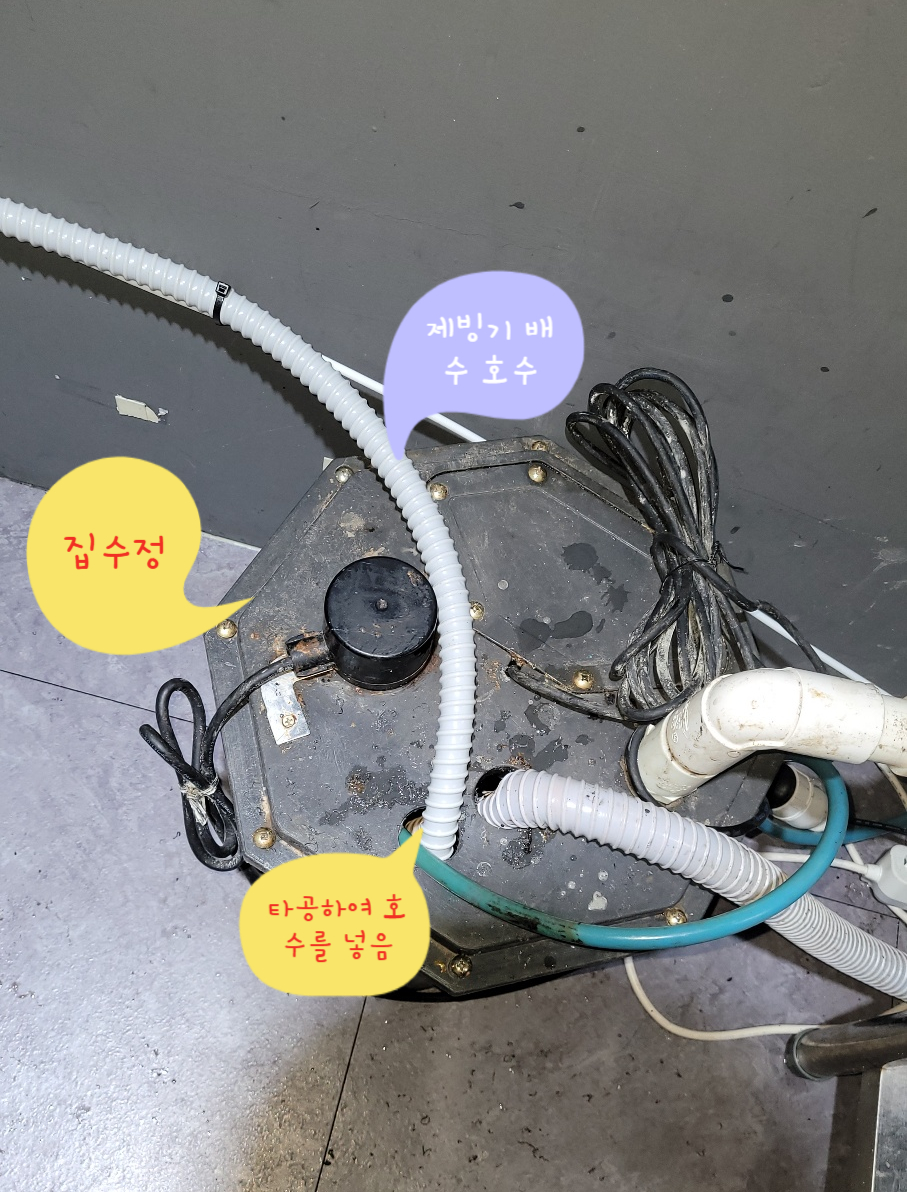이레시스템 이미지