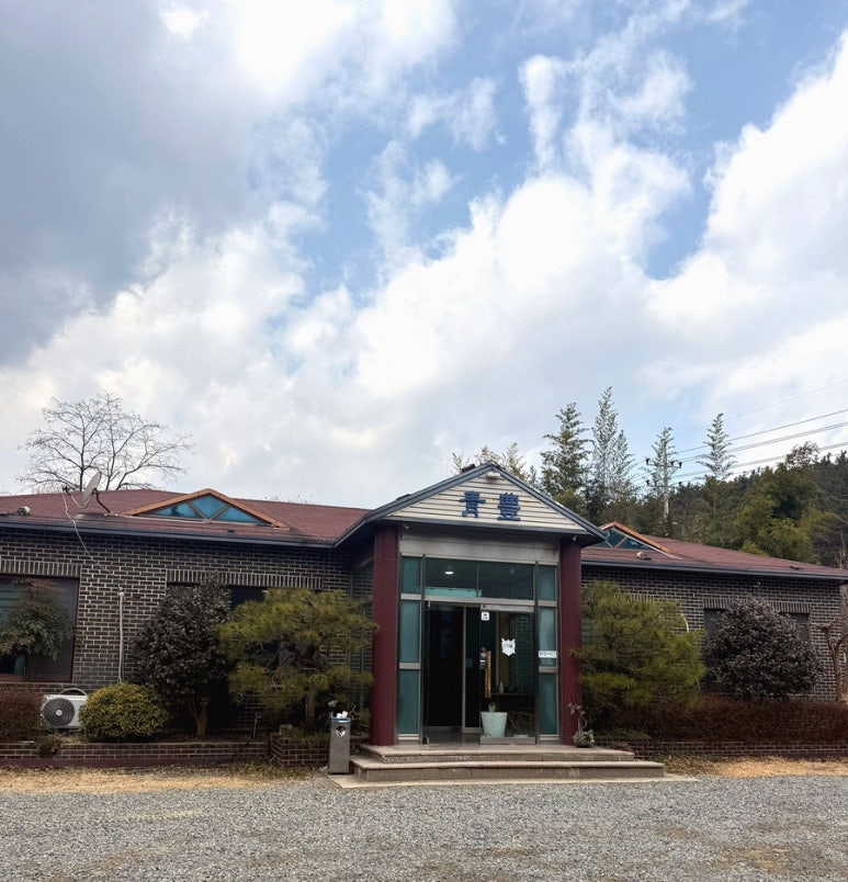 청풍오리 이미지