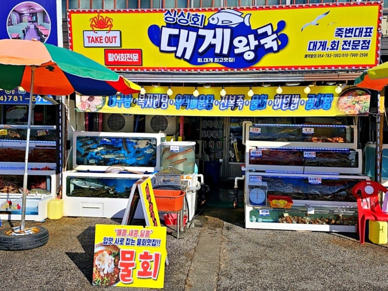 싱싱회 이미지