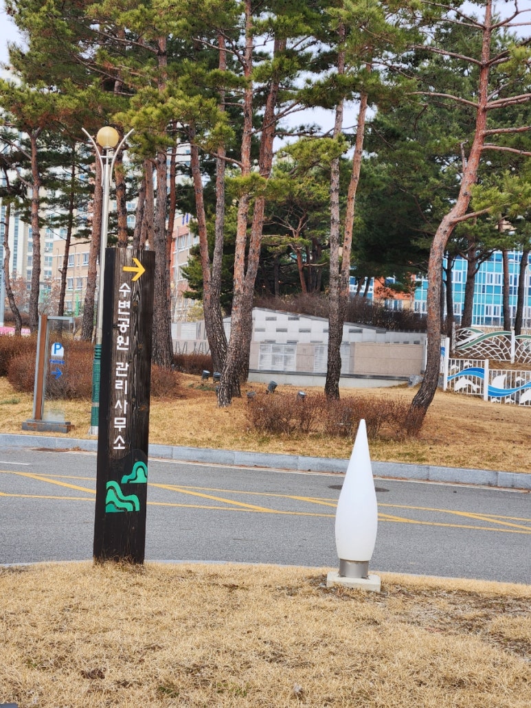 맹골사랑 이미지