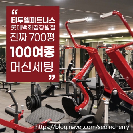티투엘/팀터틀랫피트니스롯데백화점 이미지