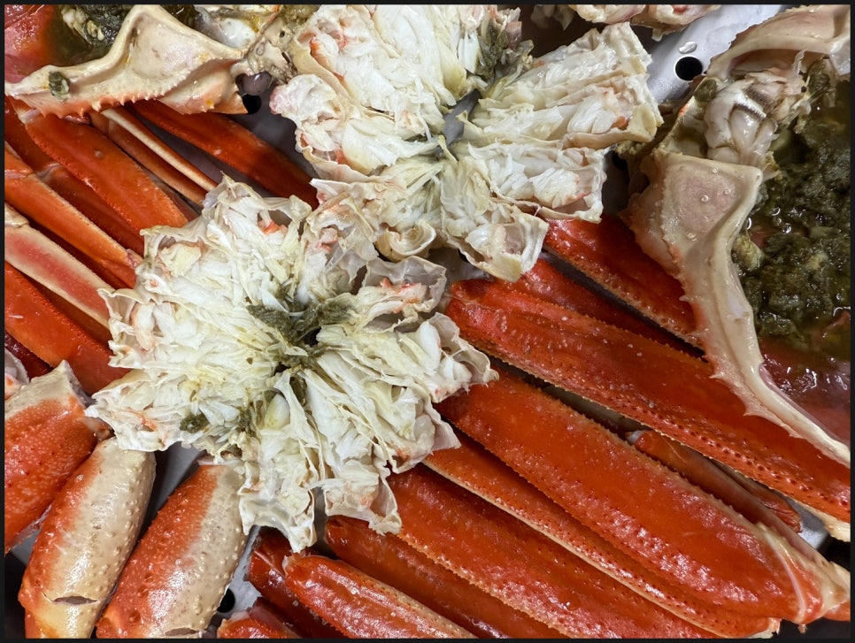 천상대게 이미지