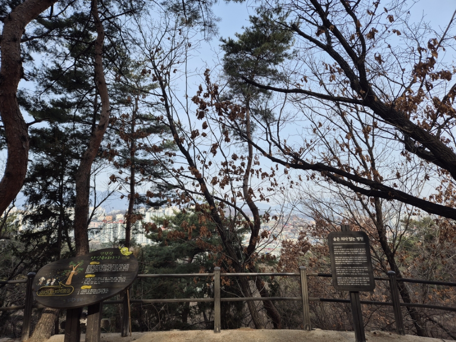 우리통닭 이미지