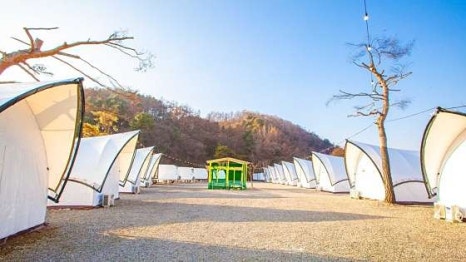 더캠프 이미지