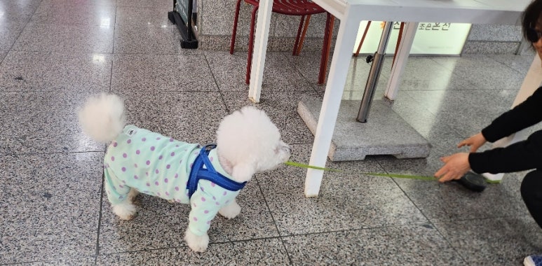 지마트 이미지