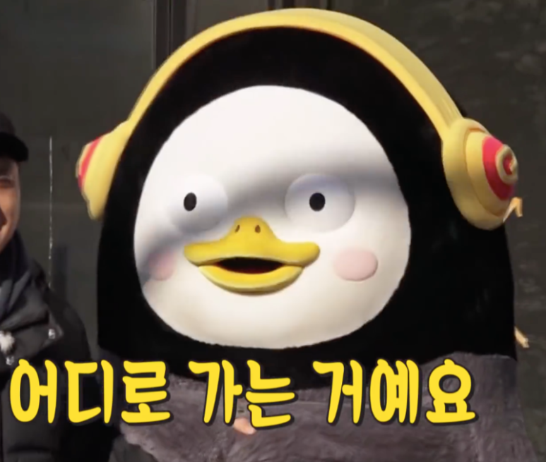 시에스타 이미지