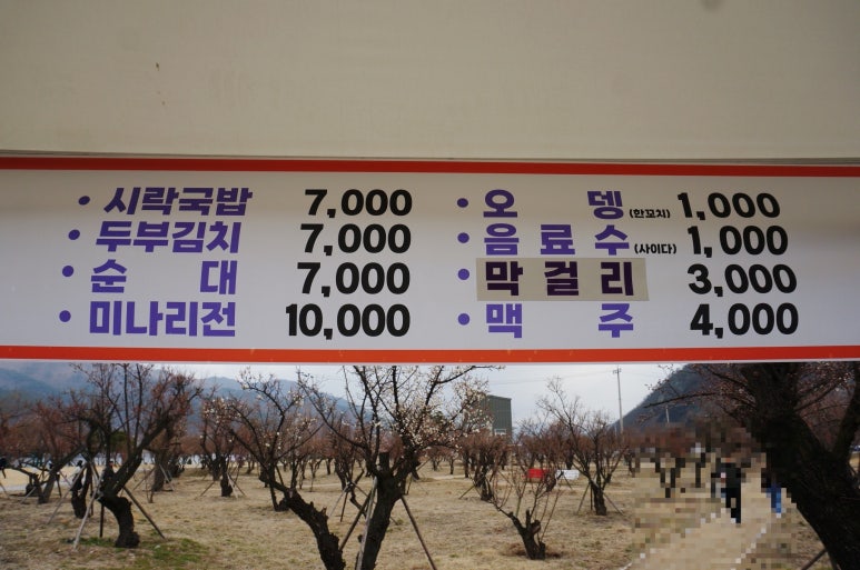 까페백파선 이미지