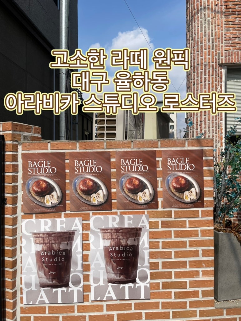 아라비카스튜디오로스터즈 이미지
