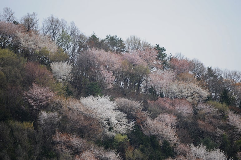 한려개발(주) 이미지