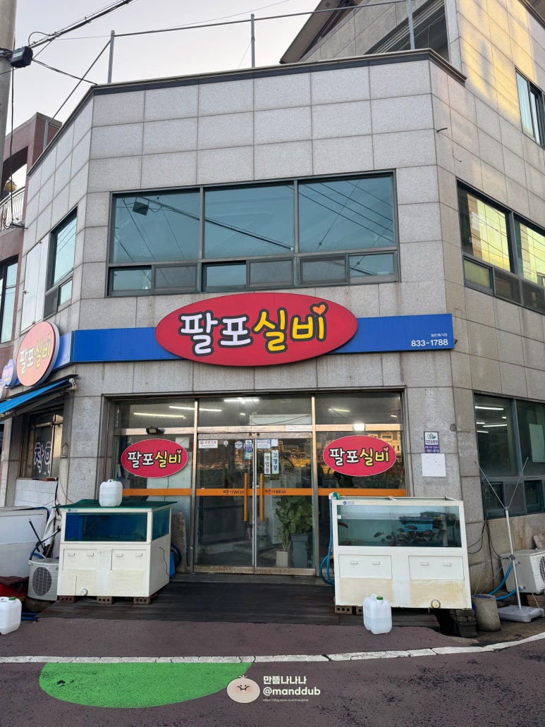 팔포실비 이미지