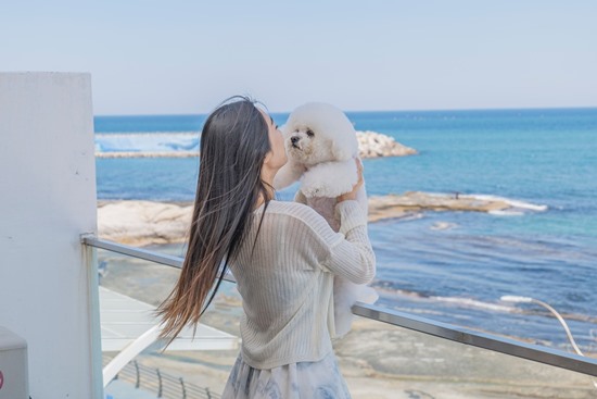 해돋이펜션 이미지