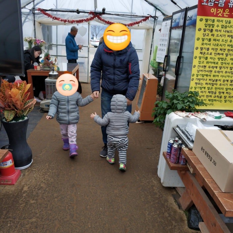 오삼~팜 이미지