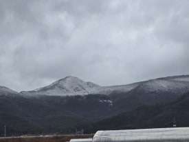 충주 알프스 캠핑장 이미지