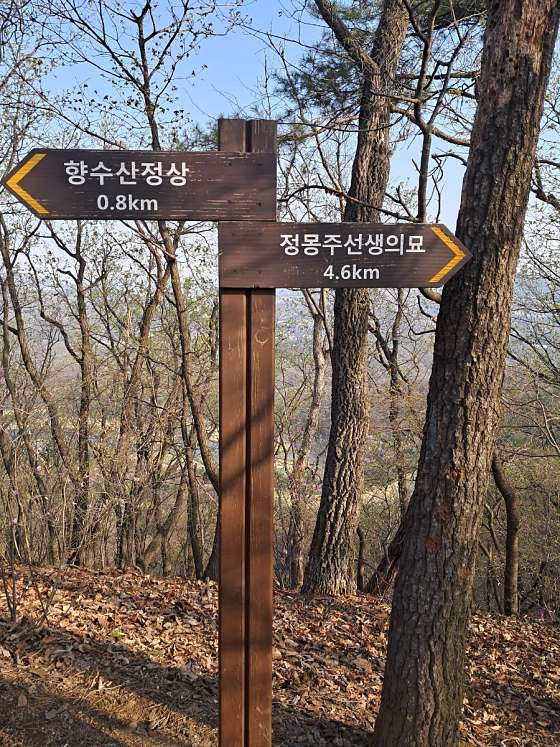 향수산 정상 이미지