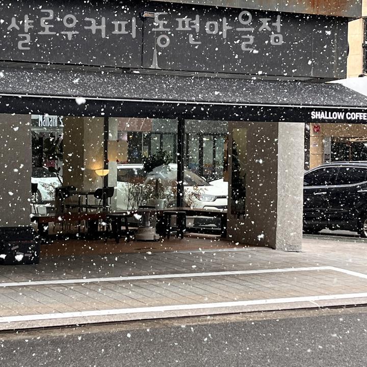 샬로우커피 이미지