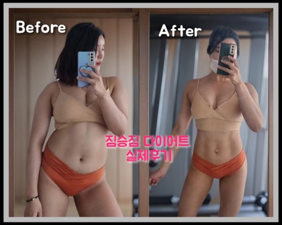 짐승짐 이미지