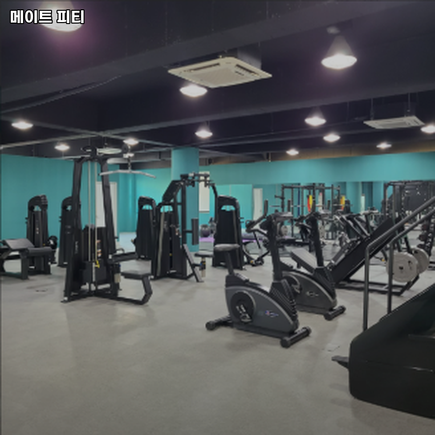 메이트피티 이미지