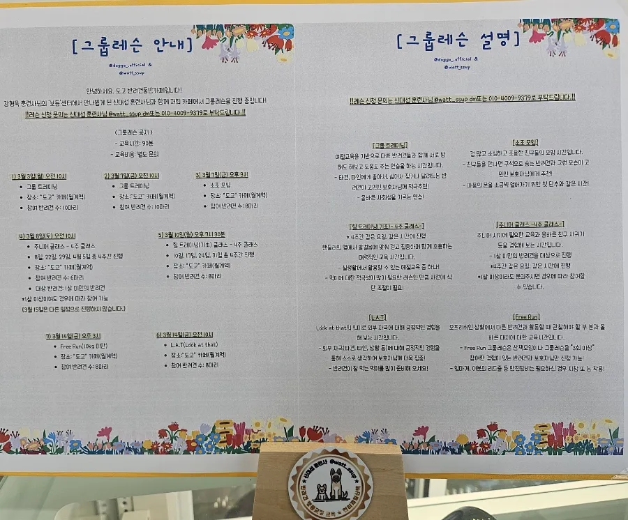 노원 애견동반 브런치카페 도고, 잔디 운동장 후기 — 사진 5