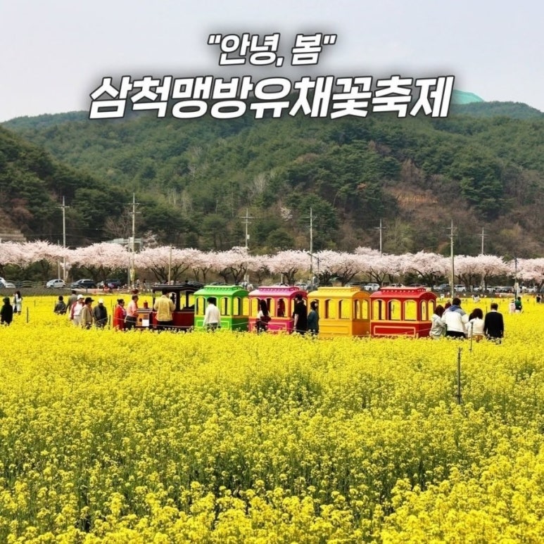 상맹방1리 이미지
