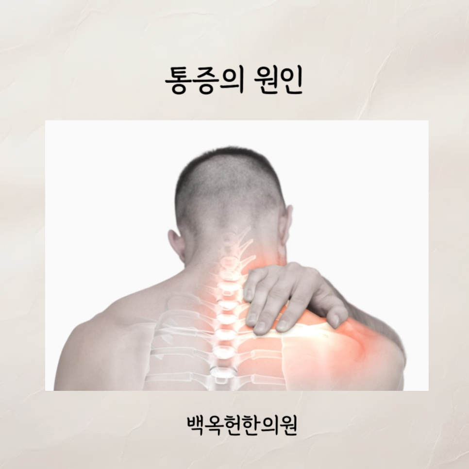백옥헌한의원 이미지
