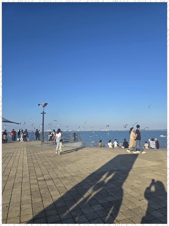 미래여행사주 이미지