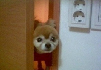 신아람펜싱클럽 이미지