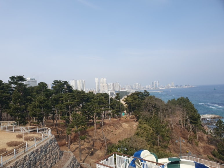 라이온체육관 이미지