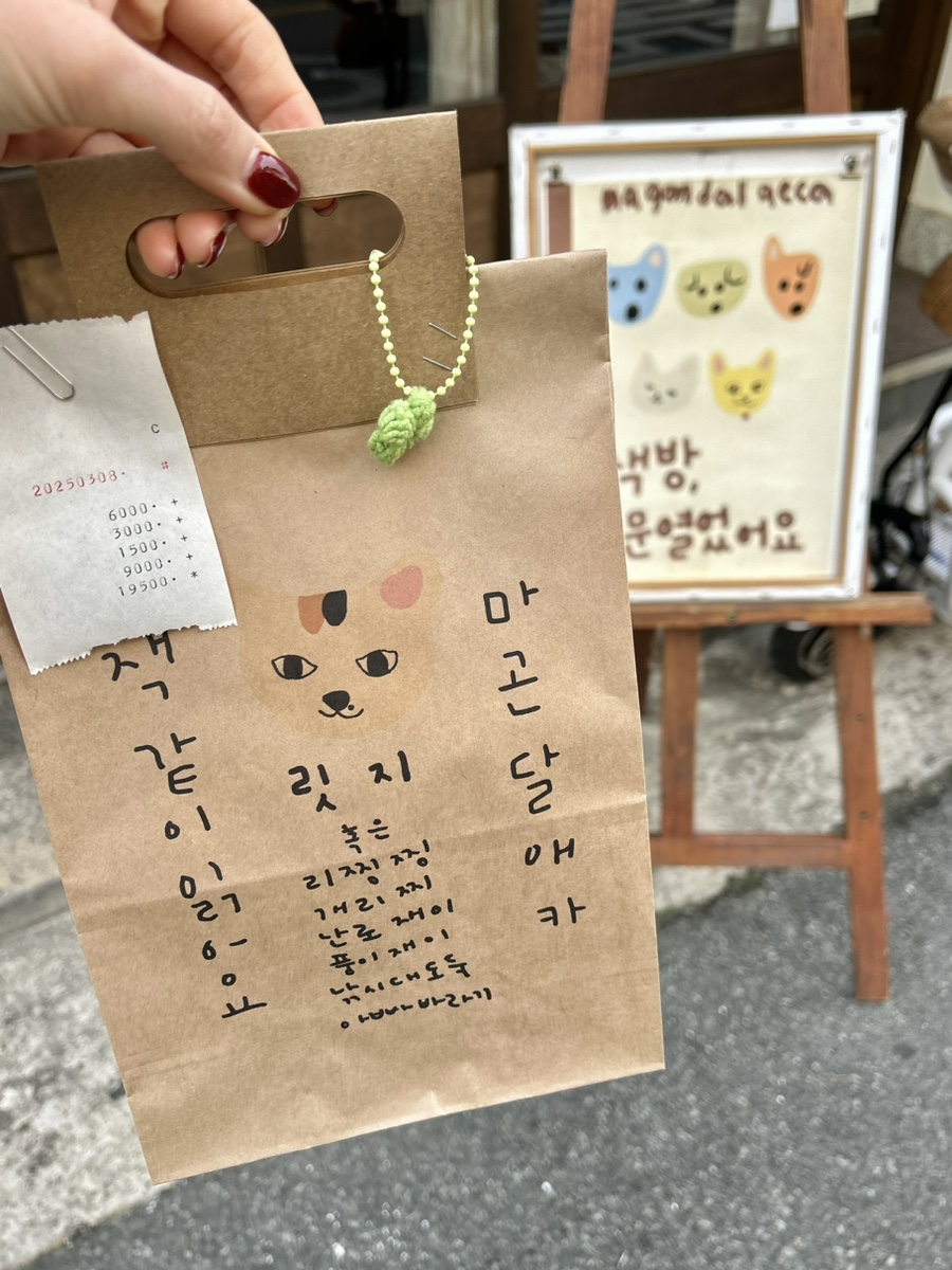 마곤달 이미지