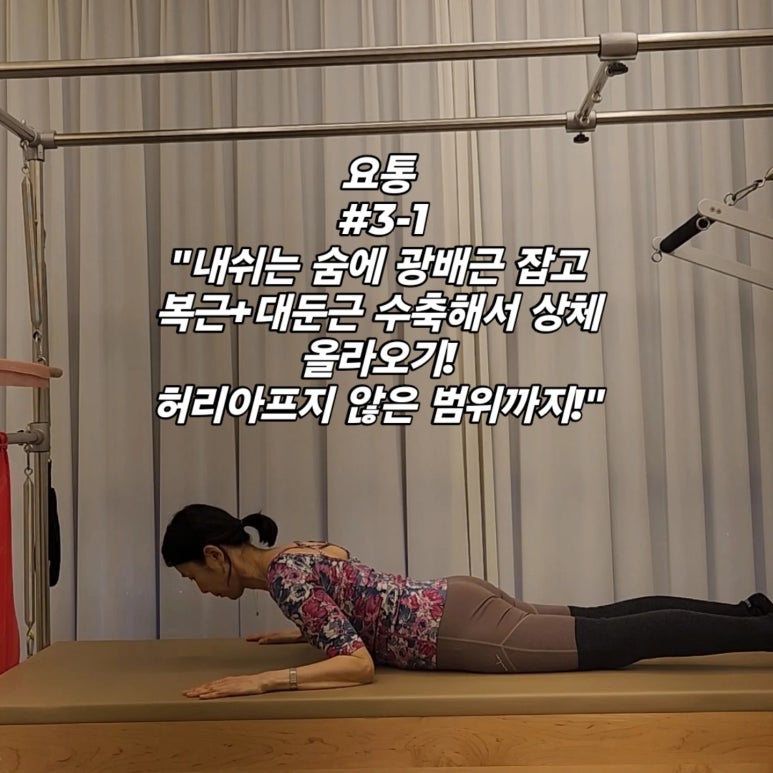 더영 이미지