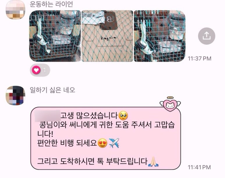 웰컴독 이미지