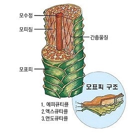 초원미용실 이미지